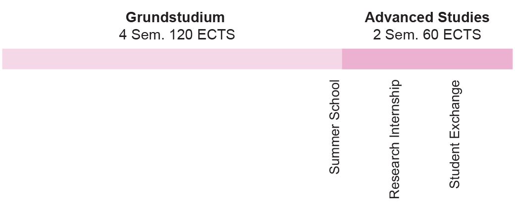 Bachelor Grundstudium Fachstudium (Advanced Studies)